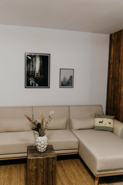 Canapea extensibila , am doua bucați , dimensiuni 256*149*88