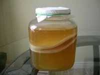 Ciuperca kombucha