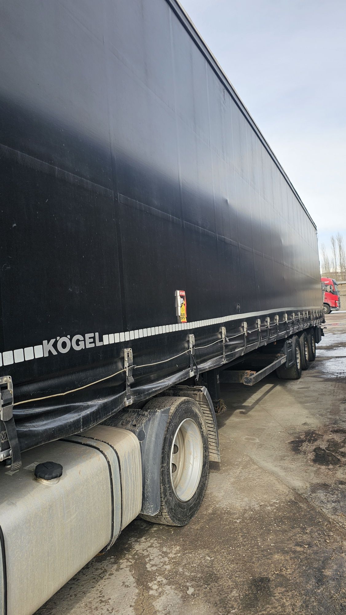 2018г MAN TGX 460 evro 6 прицеп 2018 KOGEL