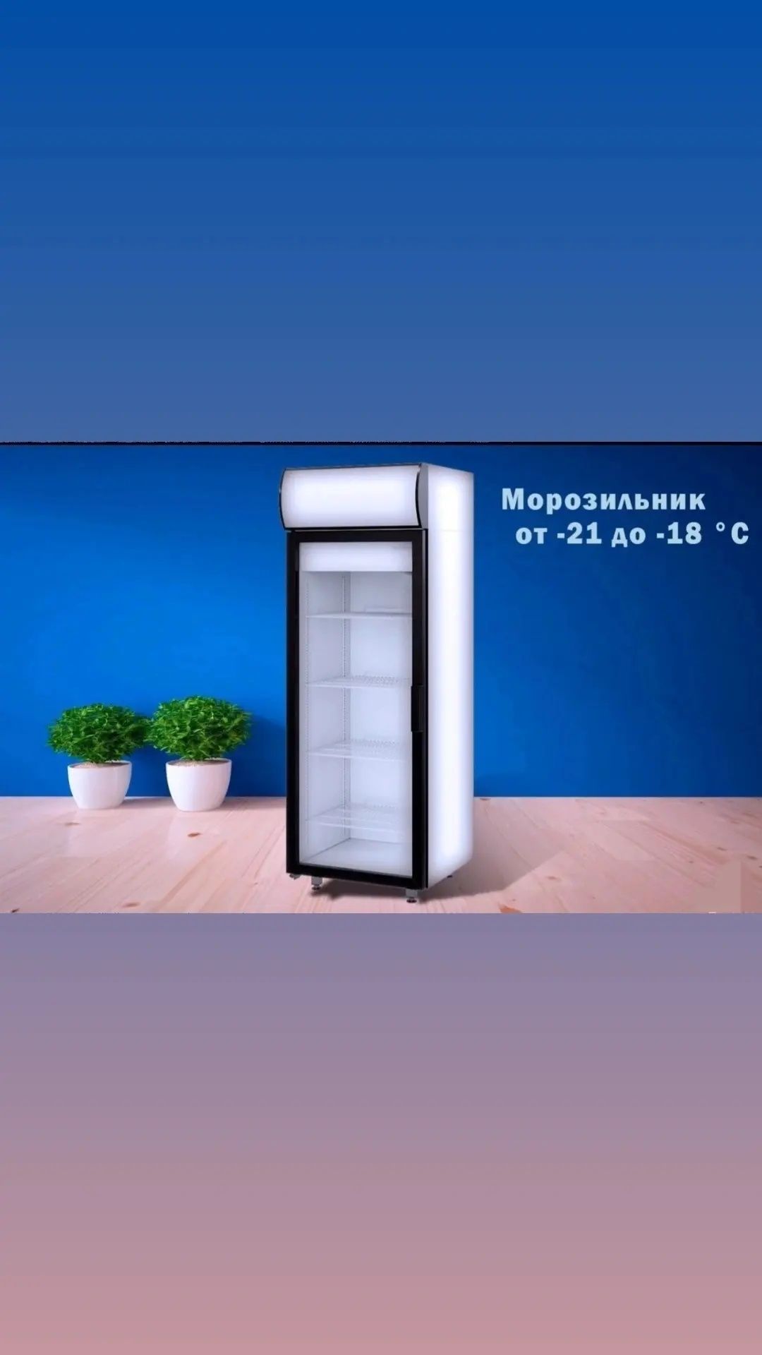 Холодильные и морозильные шкафы витрины холодильники витринные