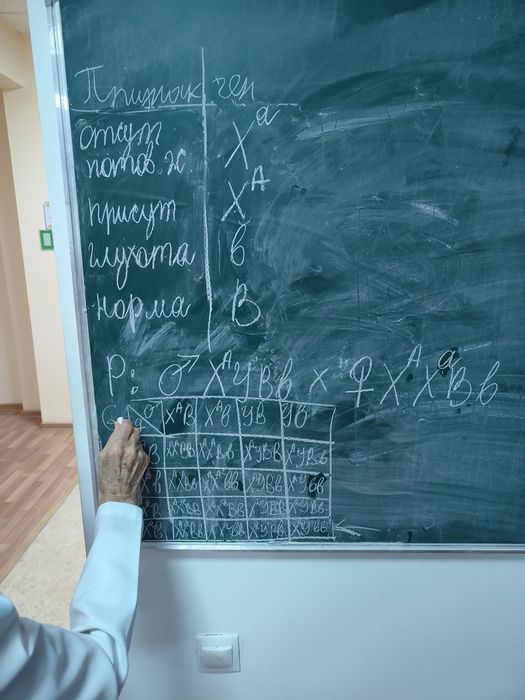 Репетитор химия/биология/математика/физика