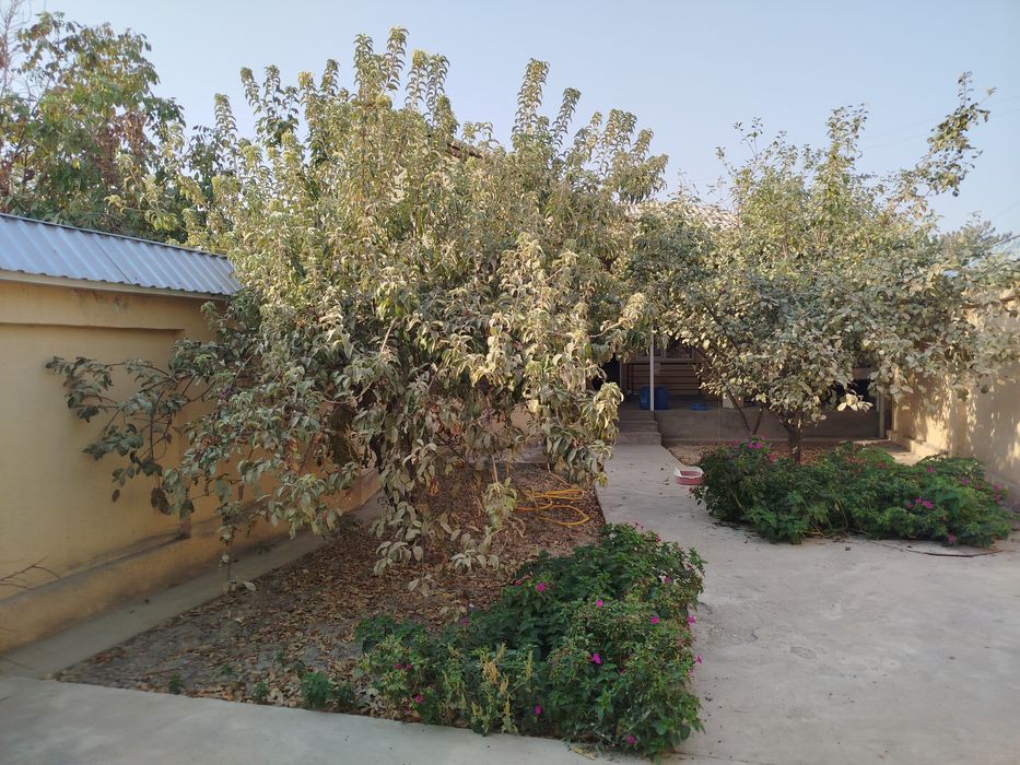 Продам свой дом 2.16 сотки