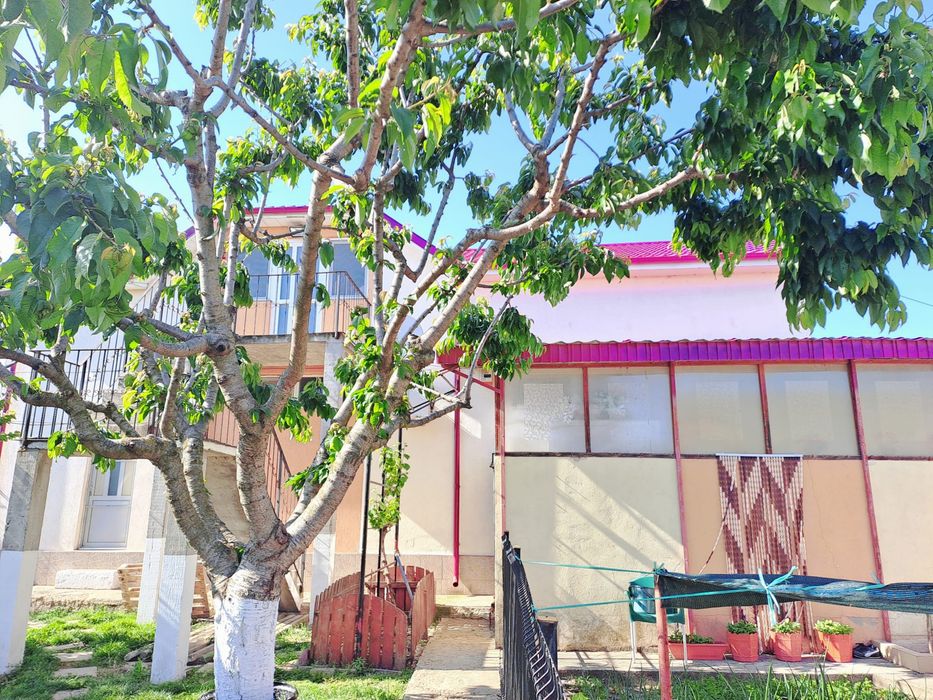 Spatiu de inchiriat sau vanzare - Albesti