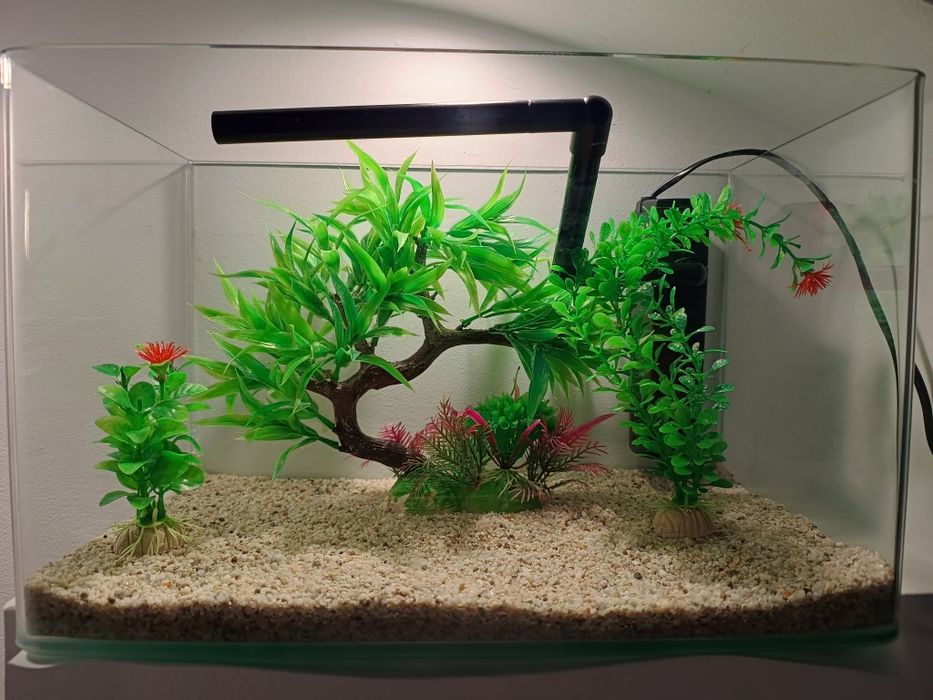 Acvariu sticla curbat complet