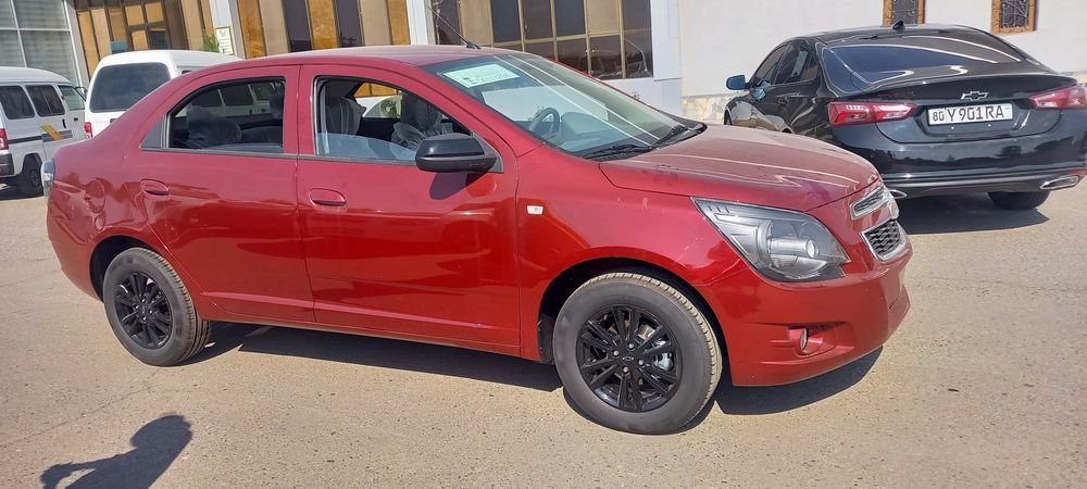 Cobalt Midnigt 2025