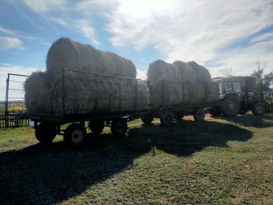 Продам сено в тюках