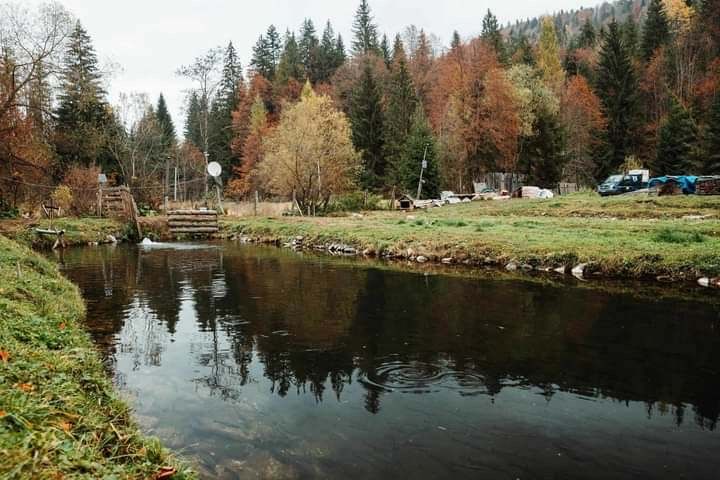 Pastravarie Lunca Bradului