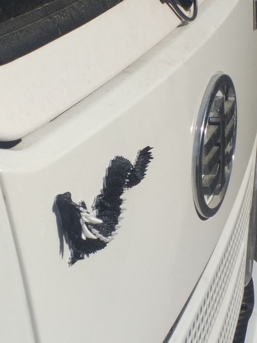 Продаются драконы и скорпионы