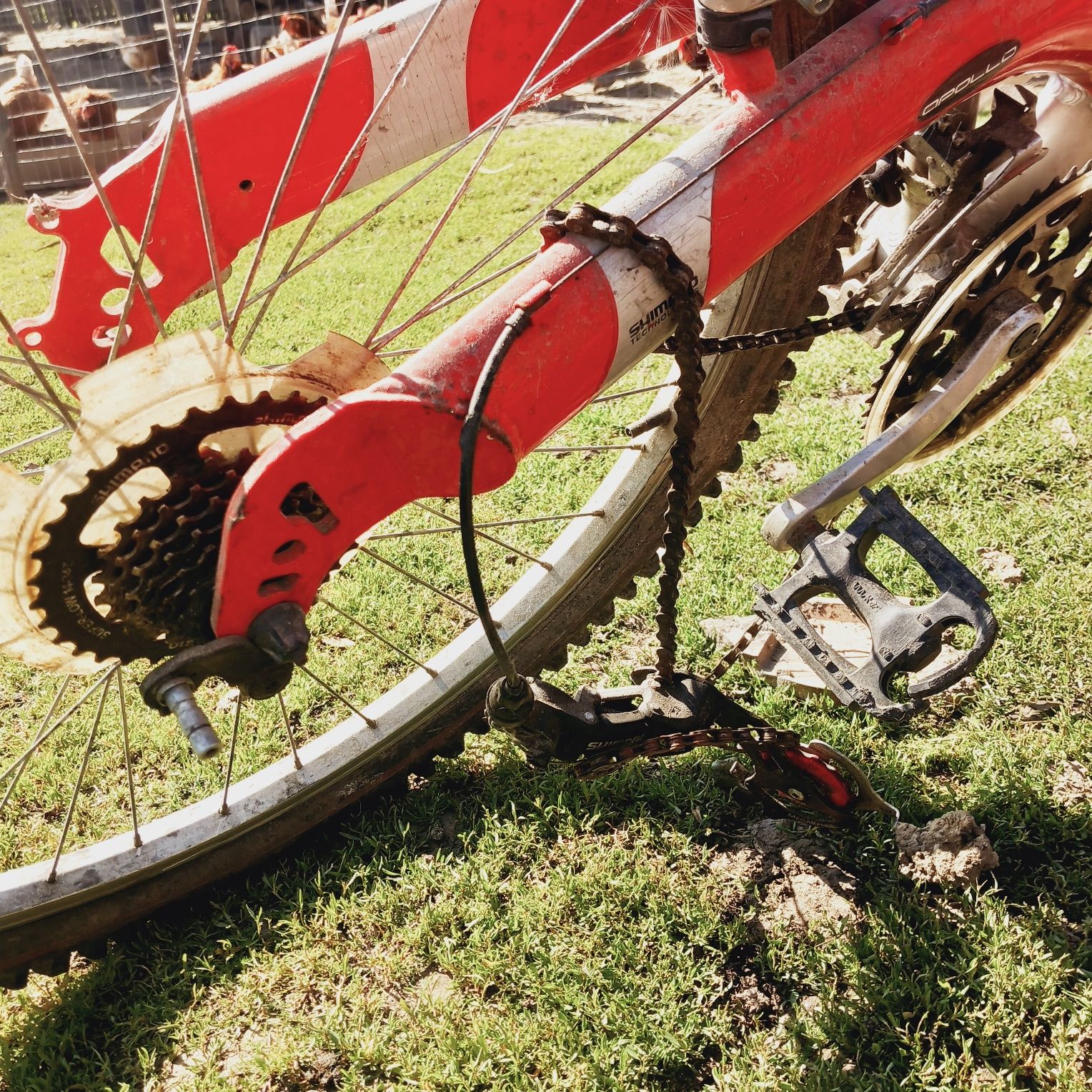 Vând bicicletă fără schimbător, fac reduceri