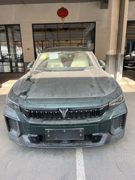 Voyah free apollo tech 318