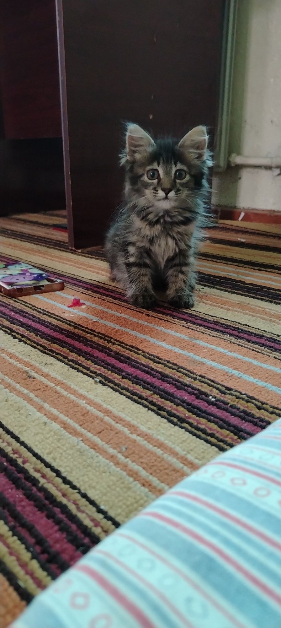 Aslzot mushugimiz sotiladi