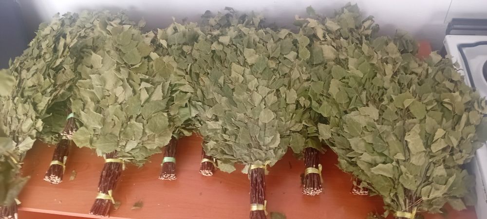 Березовые веники для бани