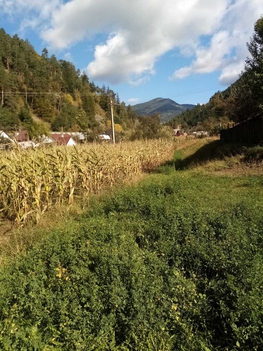 Teren intravilan de vânzare – Măgura Ilvei, Bistrița-Năsăud