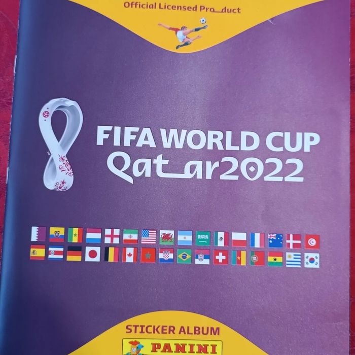 Album world cup 2022 completat