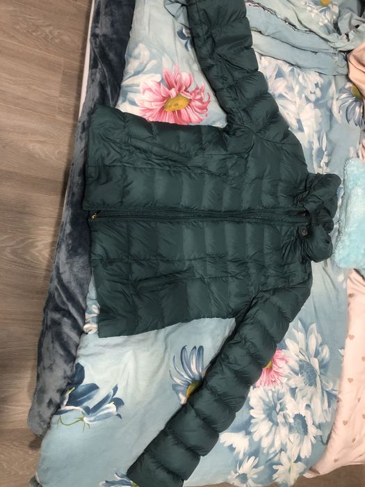 Vand geci toamna/ primavara