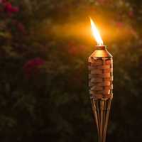 Факел из бамбука метровый