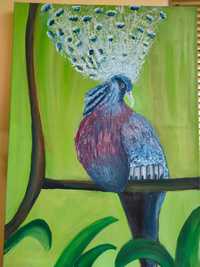 Картина "Белокичурест венценосен гълъб"