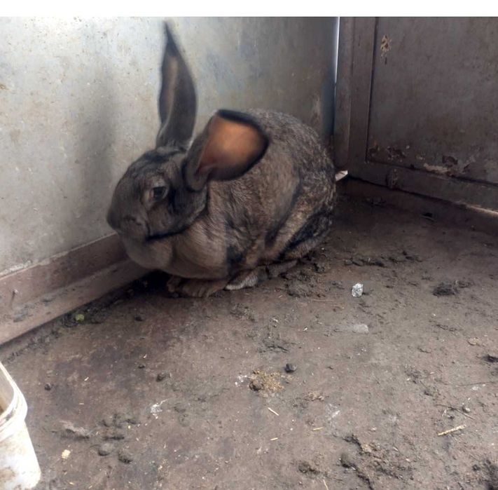 Женска на 10 месеца