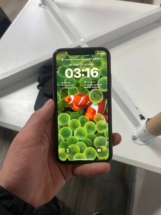 Айфон хр срочнаа