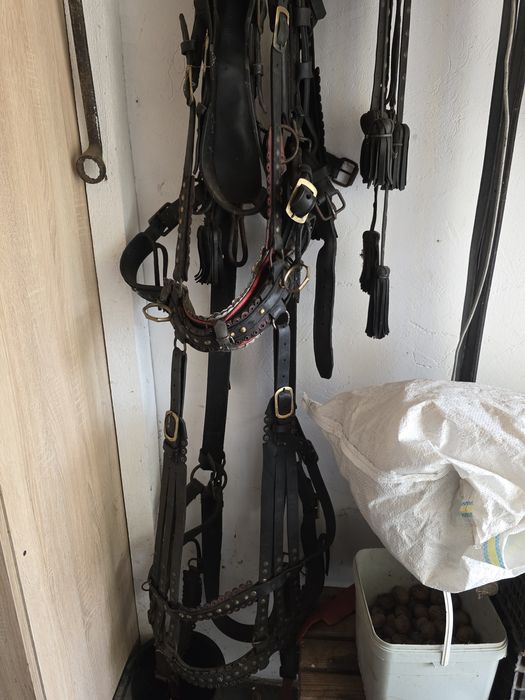 Vand ham Cal deosebit