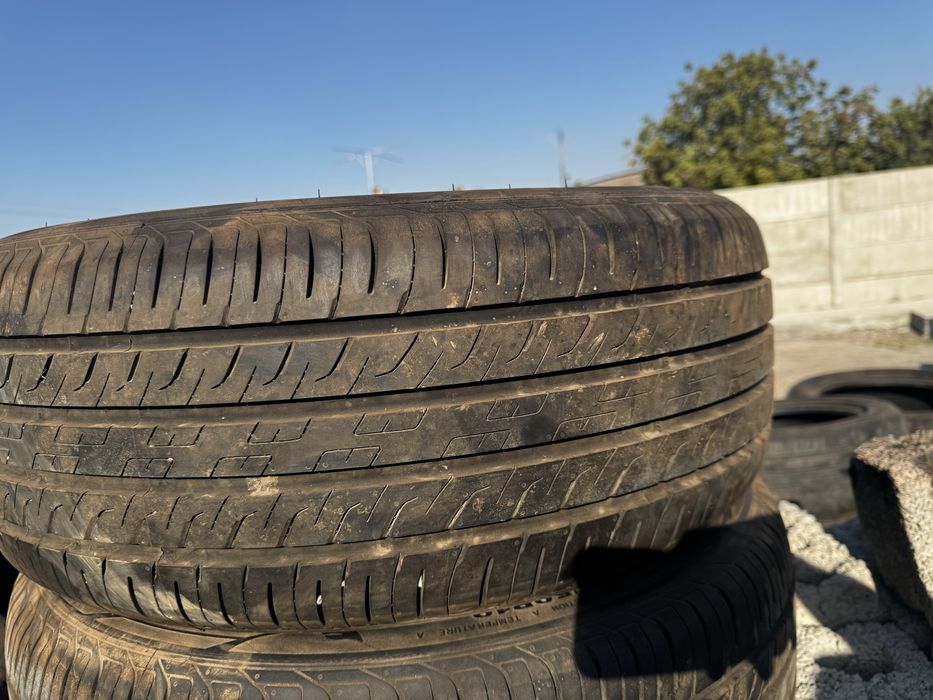 R19 Gete BVD chempion baloni