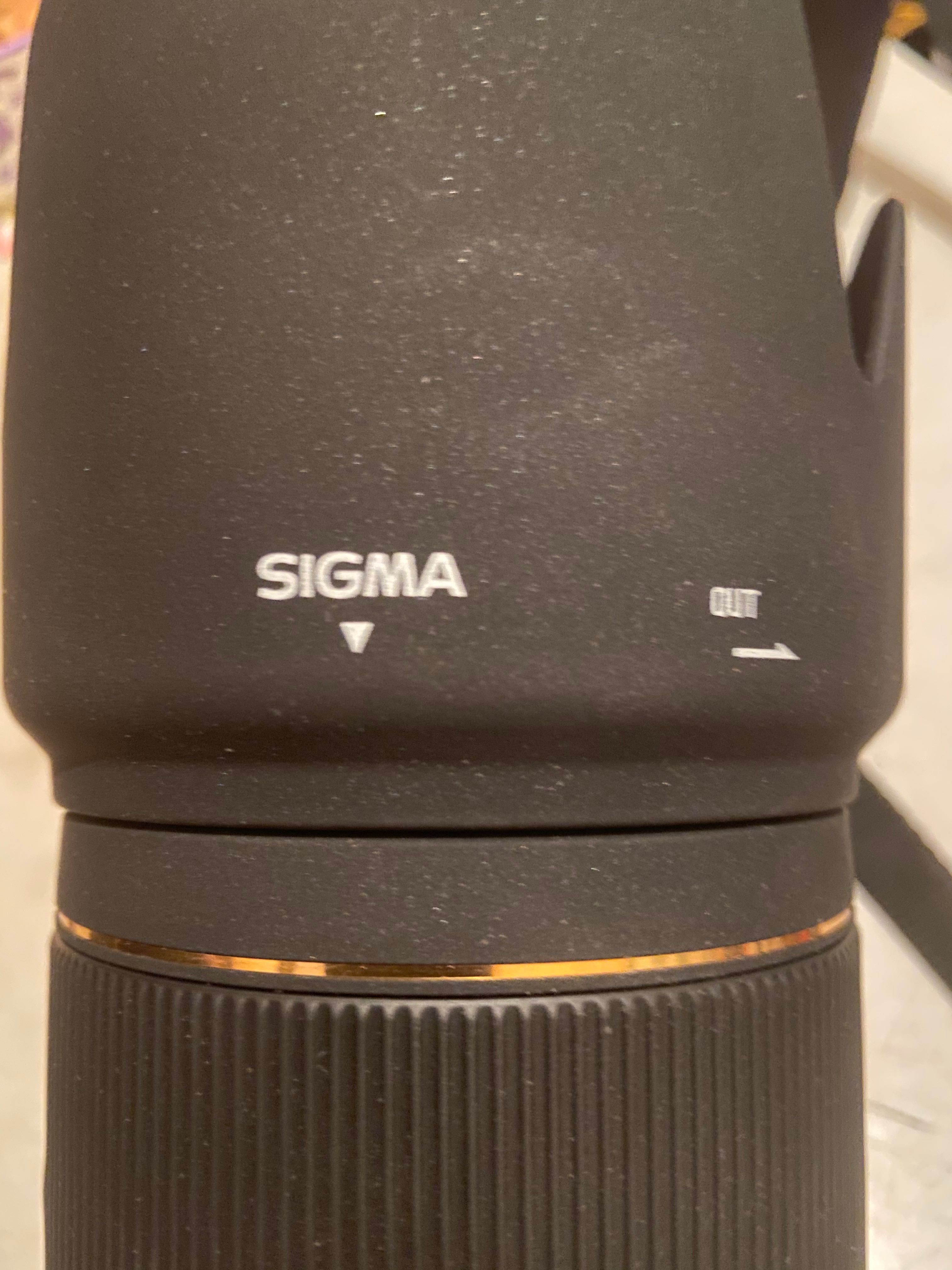 Sigma 70-200mm D f/2.8 APO EX DG HSM Nikon