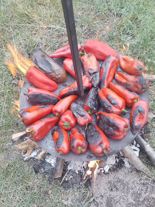 Gratar din taler de disc