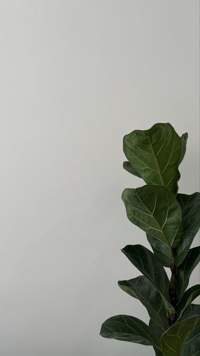 Продам новую краску tikkurila euro power 7