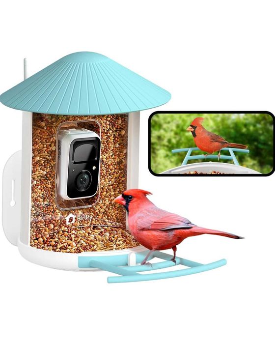 Netvue Bird Feeder / Camera Pasari sigilata