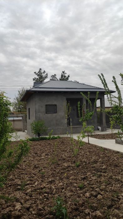 Dacha dala hovli sotiladi