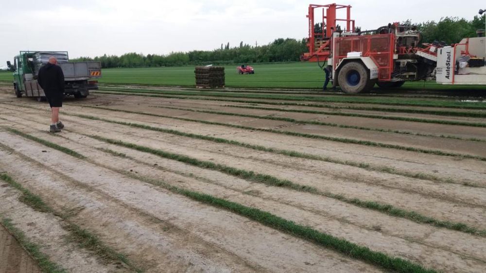 Gazon   Rulou  /  sisteme  de  irigatii