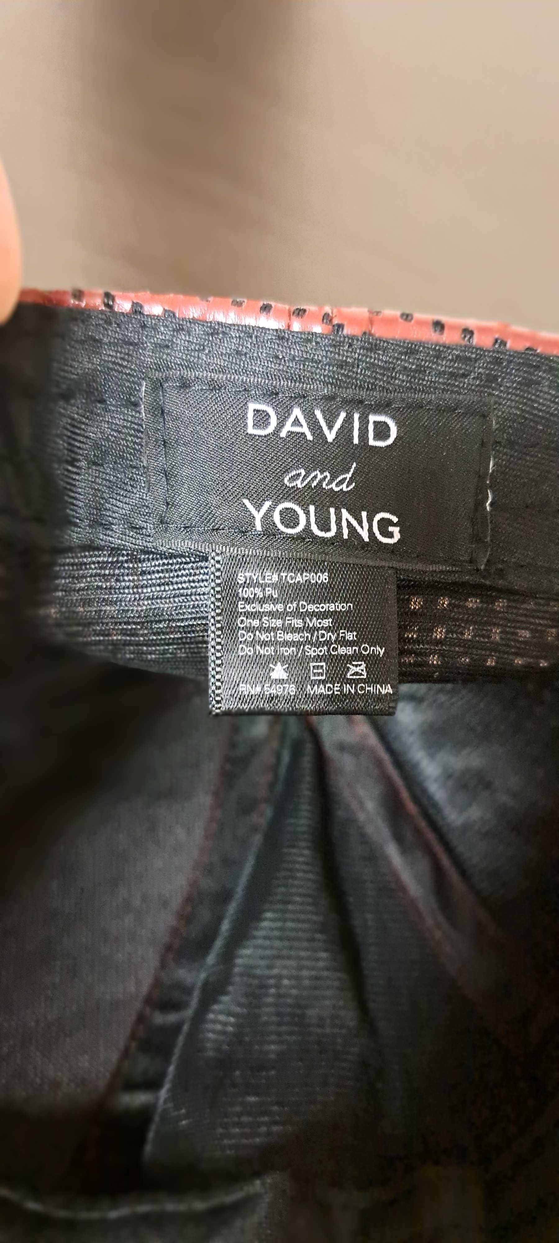 Exclusive "David and Young"