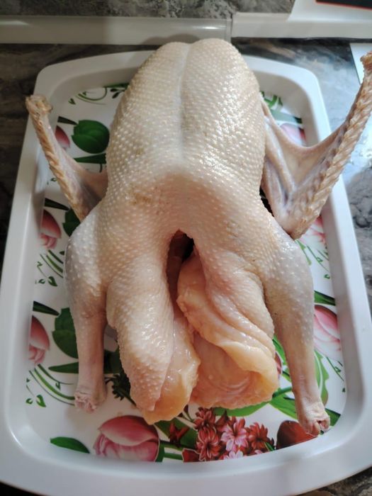 Гуси продам 3500