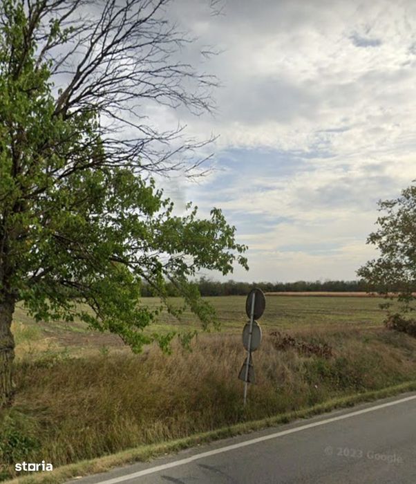 Teren 10 000 mp, vis- a-vis de cort evenimente