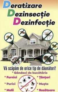 Servicii Dezinsectie Deratizare Dezinfectie