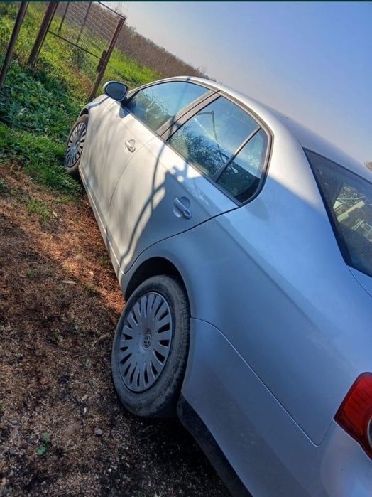 Vând vitei sau schimb