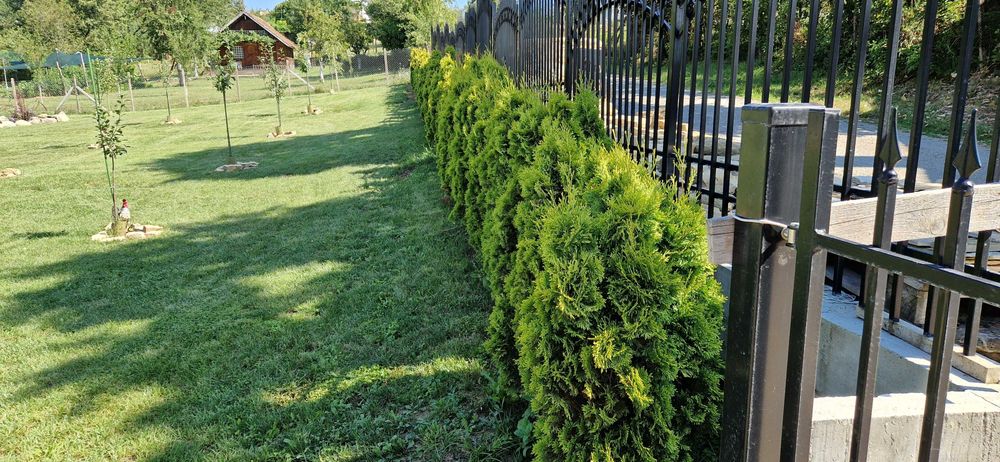 Озеленяване,Поддръжка на зелени площи,Поливни системи,Езера,Алпинеуми