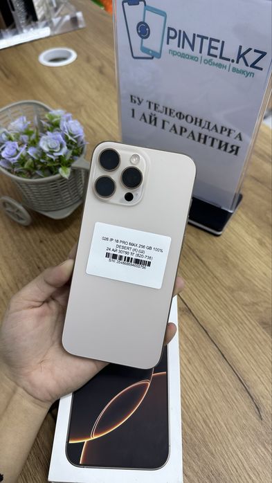16 про мах 256гб 100%