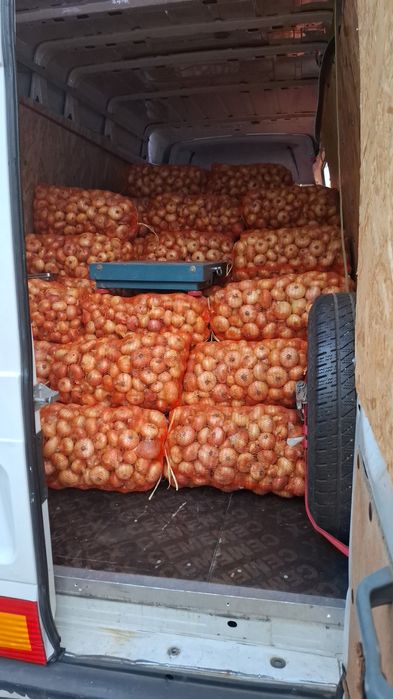 Ceapa romaneasca din arpagic