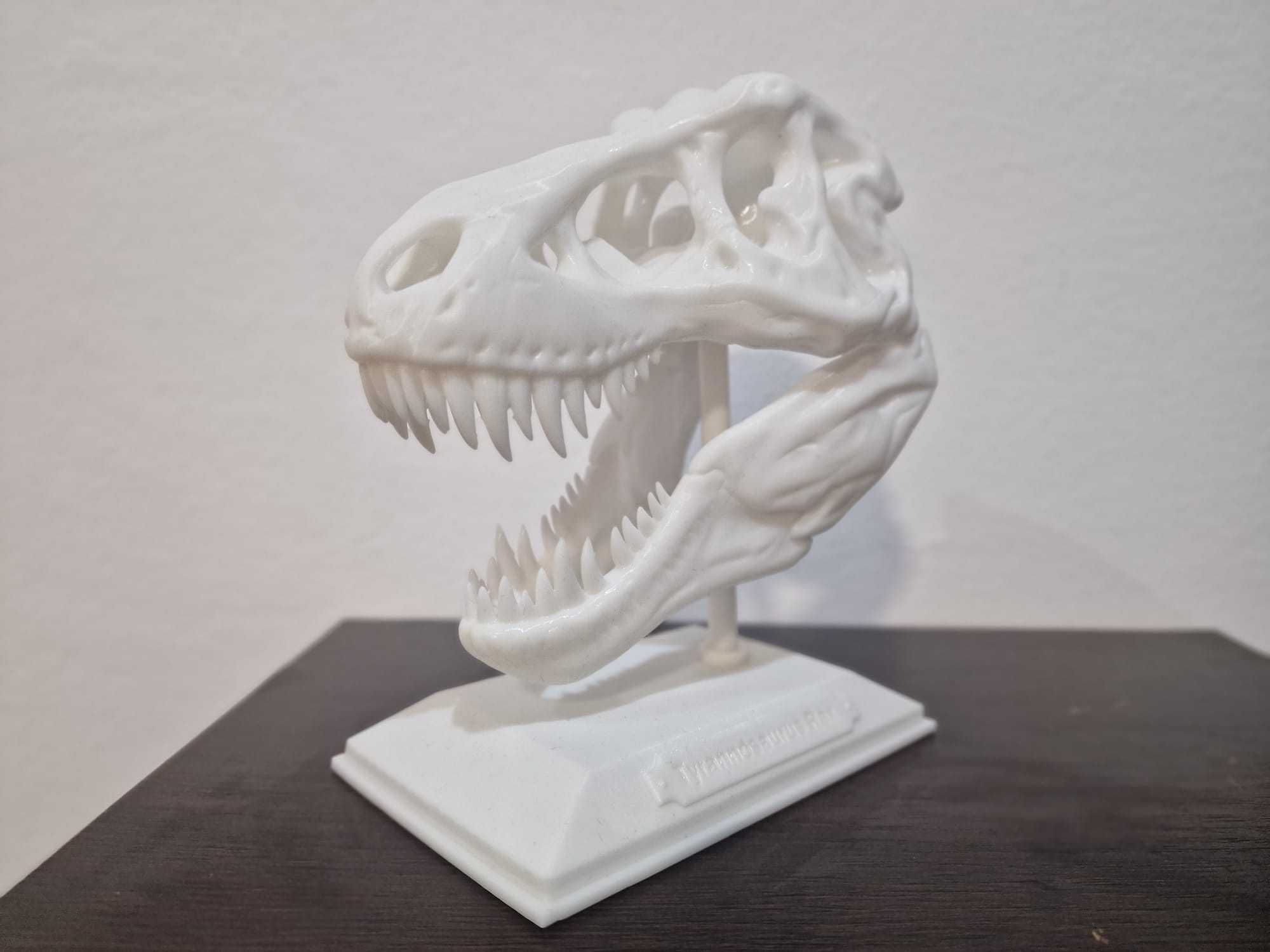 craniu dinozaur TREX