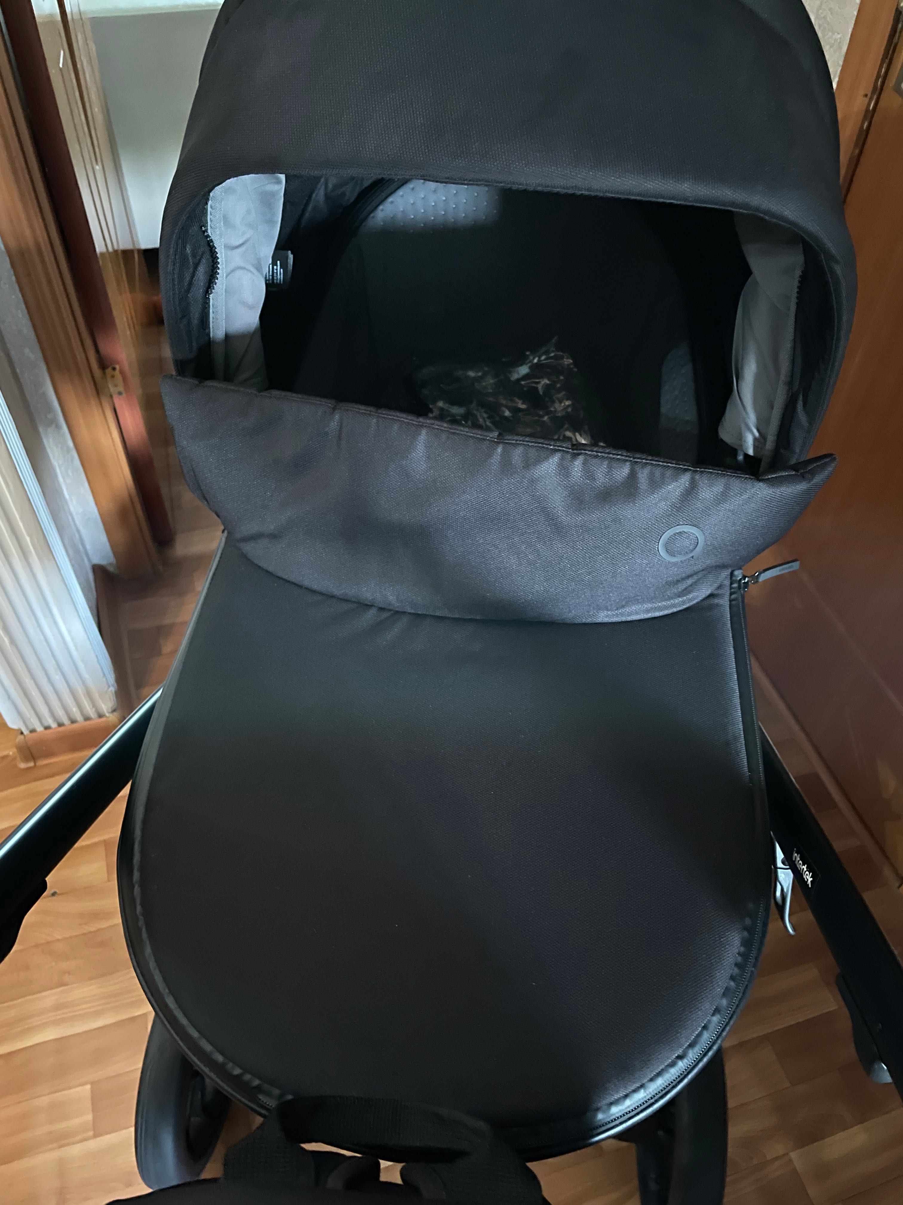 Коляска  anex 2 в 1