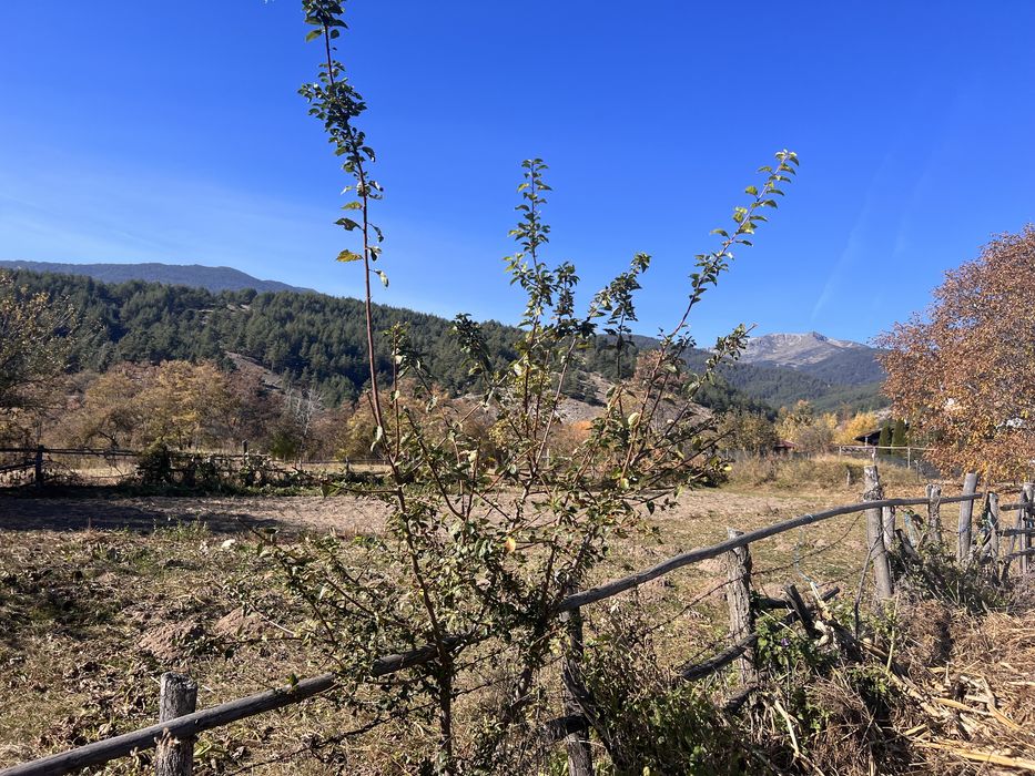 Продава се Парцел в с. Добърско, Област Благоевград - 800 кв.м за 62 €/кв.м - Снимка #4