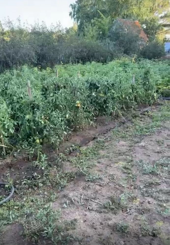 Продается дача на СПП