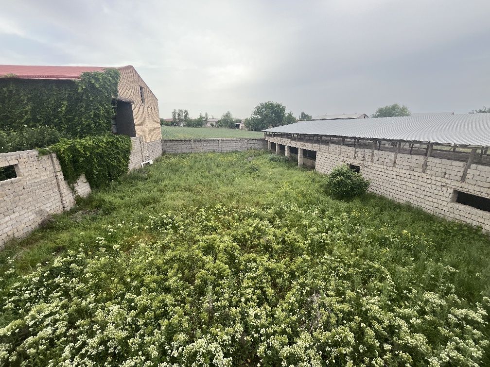 Toshkent viloyati Toshkent tumani yer sotiladi