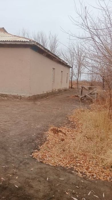 Абай ОФИ да Уй сатылады.