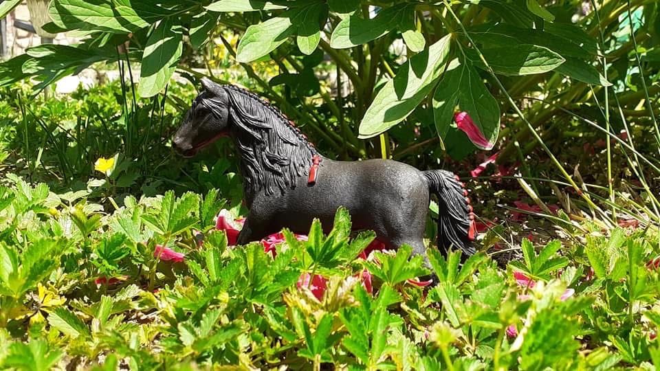 Schleich кончета – фигурки за деца и колекционери