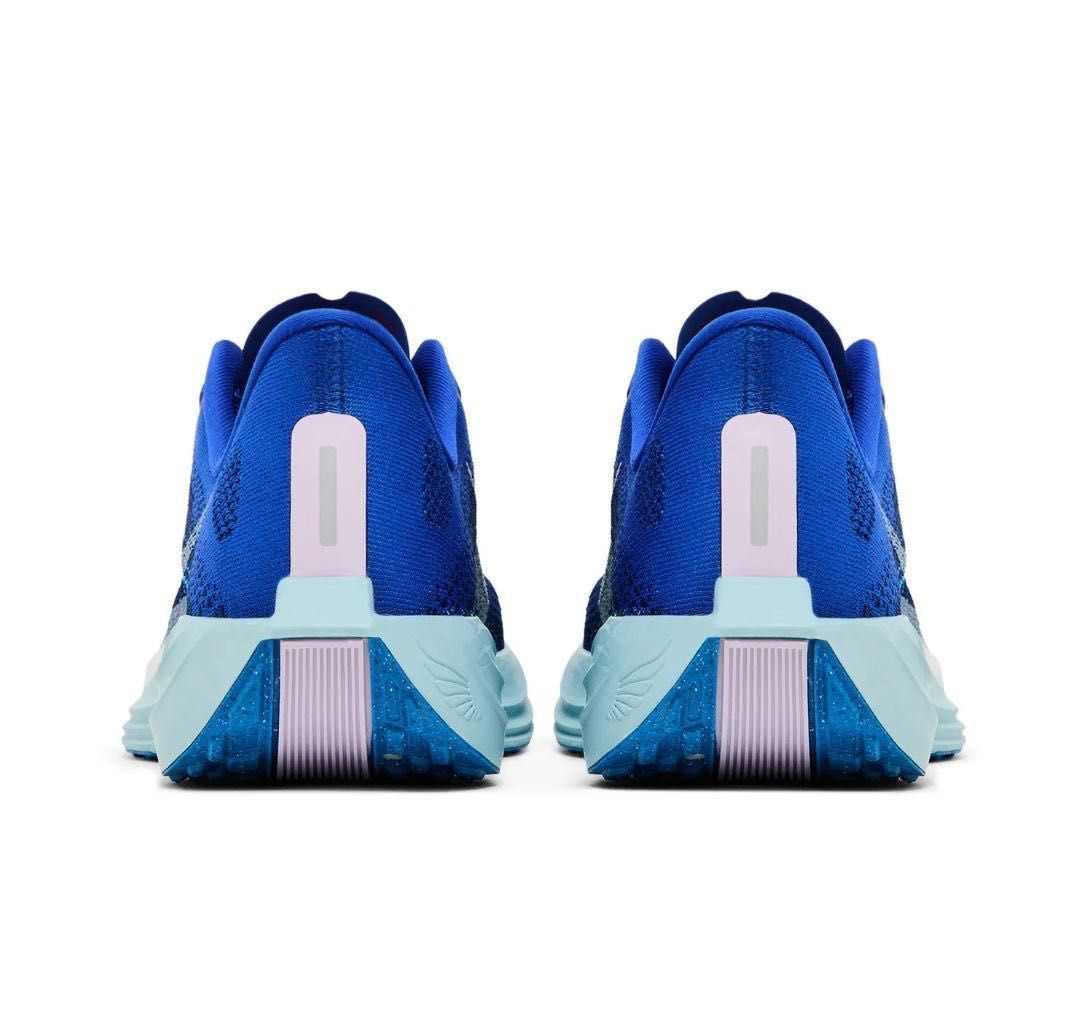 Nike Pegasus Plus