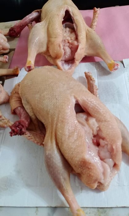 Продам тушки домашних гусей.