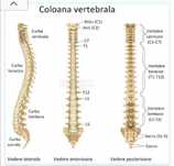 Masaj relaxare, terapeutic, reflexogen