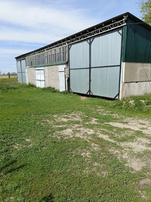 Дом жамбыл савхоз